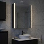 vidaXL Armoire Miroir de Salle de Bain Chêne noir 53 5 x 15 5 x 70 cm