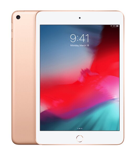 iPad mini 5 (2019) - 64 Go - Or - Parfait état