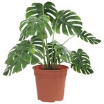 vidaXL Pot à fleurs rond 24 Pièces Rouge brique Ø 17 x 14 cm Plastique