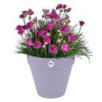 Pot de fleur Loft Urban Rond avec roues - Violet Ø 48.5 x hauteur 45 cm - Extérieur 100  recyclé