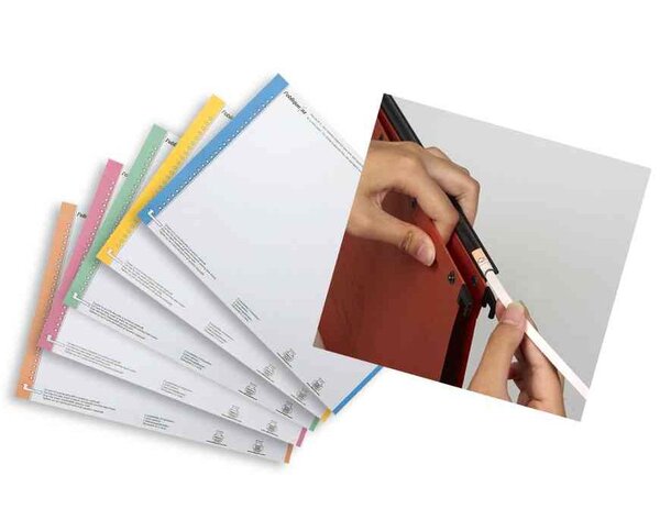 SAchet de 10 Planches de 25 Étiquettes Dossiers Suspendus Nr 0 Assorties L'OBLIQUE AZ
