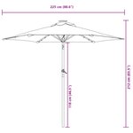 vidaXL Parasol de jardin LED et mât en acier anthracite 225x225x212 cm