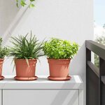 vidaXL Plateau à fleurs rond 24 Pièces Rouge brique Ø 14 x 2 cm Plastique