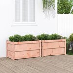 vidaXL Jardinières 2 Pièces bois massif douglas