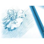 CLAIREFONTAINE - Pochette dessin - Papier a grain P.E.F.C - 24 x 32 - 12 feuilles - 224G - Blanc