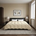 vidaXL Duvet d'hiver 200 x 240 cm Hiver Microfibre (100  polyester)