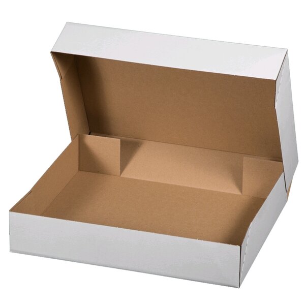 Carton télescopique e-commerce 510x310x100mm (10 pièces)