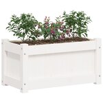 vidaXL Jardinières 2 Pièces blanc bois de pin massif