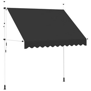 vidaXL Auvent manuel rétractable 250 cm Anthracite