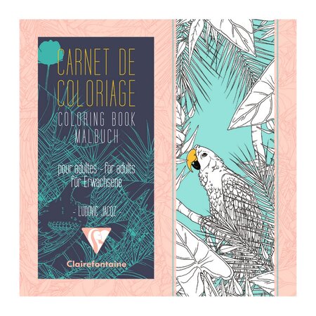 Clairefontaine - carnet de coloriage pour adultes 20x20cm - modèle : oiseaux