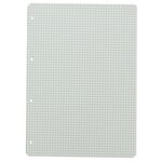 Paquet de 100 Feuillets mobiles PRO TERRA 70g A4 Quadrillé perforé LANDRÉ