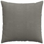 vidaXL Coussins de canapé 2 Pièces Gris clair 80 x 80 cm