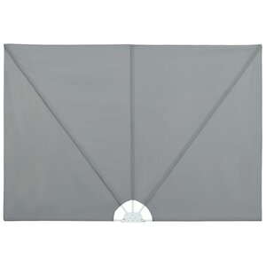 vidaXL Auvent latéral pliable de terrasse Gris 240 x 160 cm