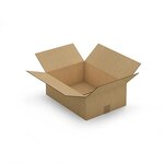 Caisse carton brune double cannelure raja 43x31x15 cm (lot de 15)