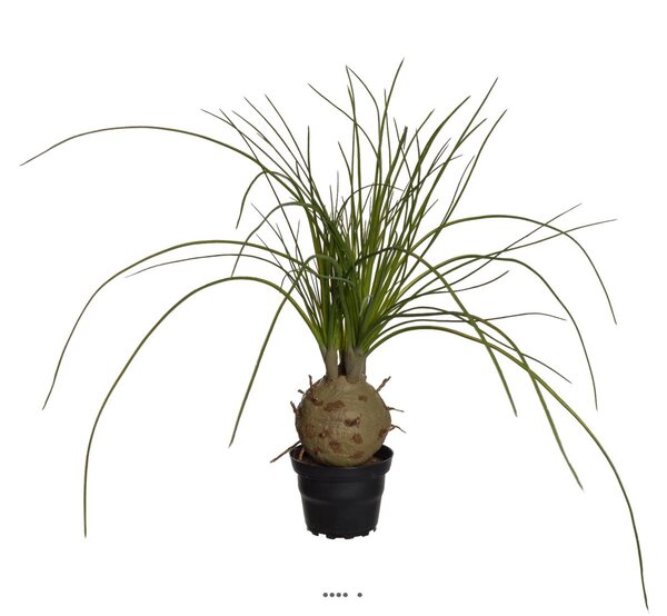 Palmier beaucarnea artificiel en pot h 45 cm d 45 cm très original