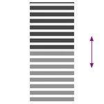 vidaXL Store zèbre noir 105x200 cm largeur du tissu 100 9 cm polyester