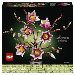 11510 Branches de magnolia ® Botanicals