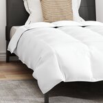 vidaXL Couette Autre avec oreiller 2 Pièces Blanc 135 x 200 cm Bas