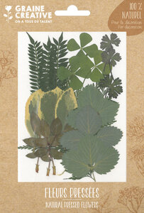 Fleurs Pressées Forest vert 21 pièces