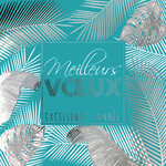 Carte Meilleurs Vœux avec Enveloppe Blanche 15x15cm