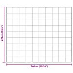 vidaXL Duvet d'hiver Argenté 220 x 260 cm Satin et Microfibre