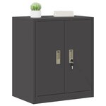 vidaXL Armoire de rangement Noir 60 x 40 x 70 cm Acier