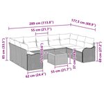 vidaXL Ensemble de canapé de jardin 10 Pièces Noir Poly rotin