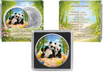 Monnaie PANDA SUMMER Four Seasons Argent 10 Yuan China 2026 (PRÉCOMMANDE)