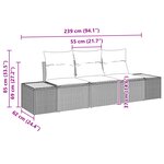 Set de Canapé de Jardin 3 pièces avec Coussins en Rattan Poly Gris Acacia