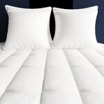 vidaXL Couette en duvet d'hiver 2 Pièces 155 x 220 cm