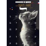 Calendrier mon chat et moi 25 jours