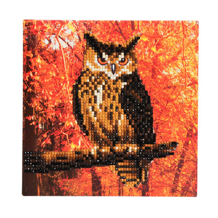 Kit carte broderie diamant 18x18cm hibou