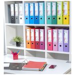 EXACOMPTA - Classeur a levier extra large - Dos 80mm -24,2 x 29,7 - Rembordé polypropylene - Fushia