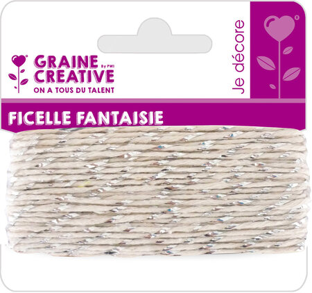 Ficelle Fantaisie Argent 10M