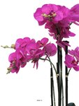 Orchidée phalaenopsis factice top qualité & pot h60cm rose fushia-best - dimhaut: h 60 cm - couleur: rose fushia