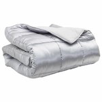 vidaXL Duvet d'hiver Argenté 240 x 260 cm Satin et Microfibre