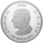 Pièce de monnaie en Argent 20 Dollars g 31.39 Millésime 2025 DEAR SANTA