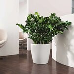 LECHUZA Jardinière Classico Color 35 ALL-IN-ONE Blanc 13210