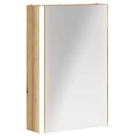 vidaXL Armoire Miroir de Salle de Bain Chêne artisan 33 x 11 5 x 50 cm