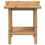 vidaXL Table basse 45x45x45 cm bambou