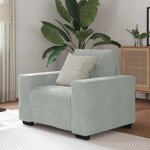 vidaXL Fauteuil Gris clair 60 cm Velours