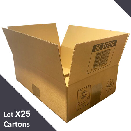 Lot de 25 cartons emballage à simple cannelure standard 310 x 220 x 100 mm