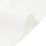 vidaXL Bâche blanc 5x6 m 650 g/m²