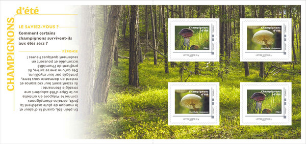 Collector 4 timbres - Champignons d'été - Lettre Verte