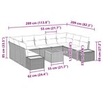 vidaXL Canapés de jardin 10 pièces avec coussins  en poly rattan noir et acacia