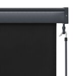 vidaXL Store roulant d'extérieur 140 x 250 cm Anthracite
