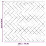 vidaXL Duvet d'hiver Noir 220 x 260 cm Microfibre