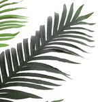 vidaXL Arbre Cocuspalm artificiel Vert 70 x 18 x 140 cm