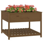 vidaXL Jardinière et étagère Marron miel 111 5x111 5x81 cm Bois de pin