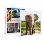 SMARTBOX - Coffret Cadeau Journée d'exploration en famille : 4 entrées pour le Safari de Peaugres près de Saint-Étienne -  Sport & Aventure